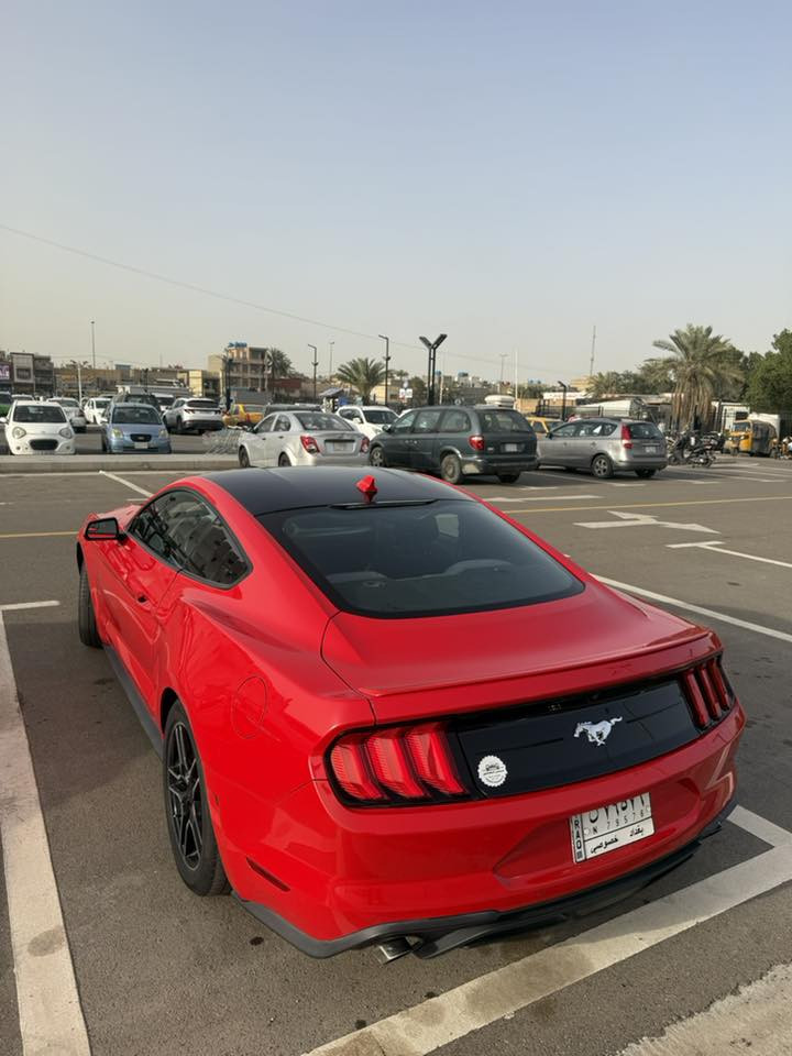 موستنك ايكوبوست 2020
ضررها جاملغ وبنيد صبغ فقط 

مواصفات معروفة

 شاشة جبيرة sync 3

كشن كهرباء

حساسات خلفيه 

رادار جانبي 

ماشية 59 الف

مكفولة مكينه وكير على وضع الشركة

السعر 138 ورقة مجالها قليل ❤️

مكاني بغداد حي البنوك / ***********
