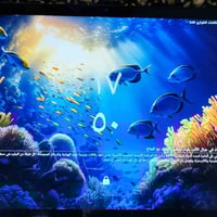 ايباد ٢٥٦ • سمائي • جديد