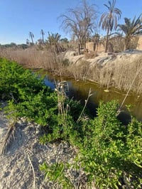 ٨٠٠م • طابو عراقي • ابو الخصيب