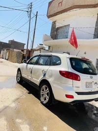 سنتافي • ٢٠٠٨ • وارد امريكي