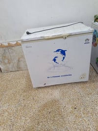 مجمدة • فلتر • ما نعرف عطلهم