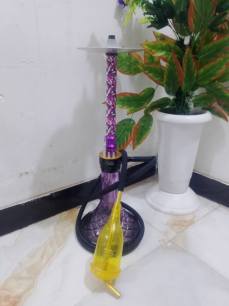 سلام عليكم نركيله المانيه البيع السعر 50


**إذا كنت صاحب هذا الإعلان وتريد حذفه لأي سبب، رجاءا أرسل رسالة إلى الدعم الفني**