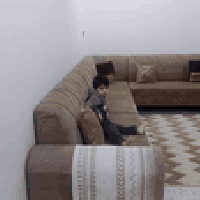 تخم  درجه اولا جديد صاله شهر من سويته سعر 400 وبي مجال  10مقاعد  07719...