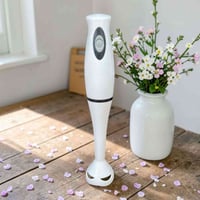 بلندر يدوي • Octavo OC-244 • شحن USB