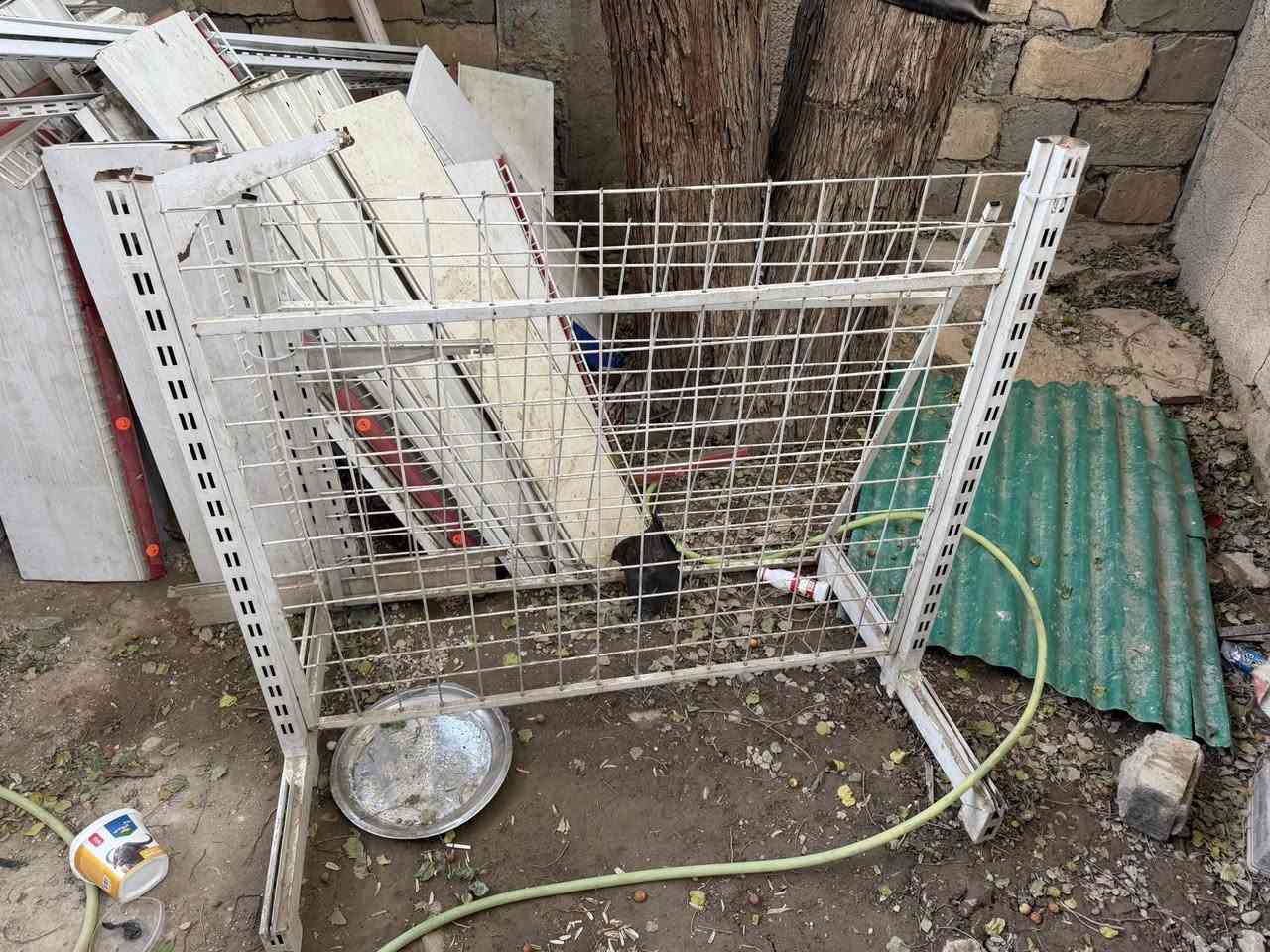 رفوف تزكام العدد 50كاملات وسفينه كامله أبيع شلعه وحده السعر 400وبيه مجال قليل الرقم ‭0770 435 3359‬
