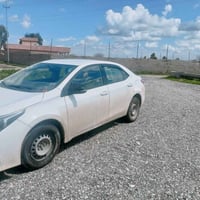 كورلا • ٢٠١٥ • رقم اربيل