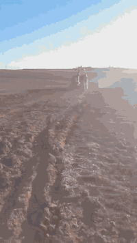 سلام وعليكم للبيع تركتر فيات حجم 115كير وكسن مكفولات محرك لا صرف ولا نفخ موديل 85 رقم واسط تحويل للستفسار ***********
