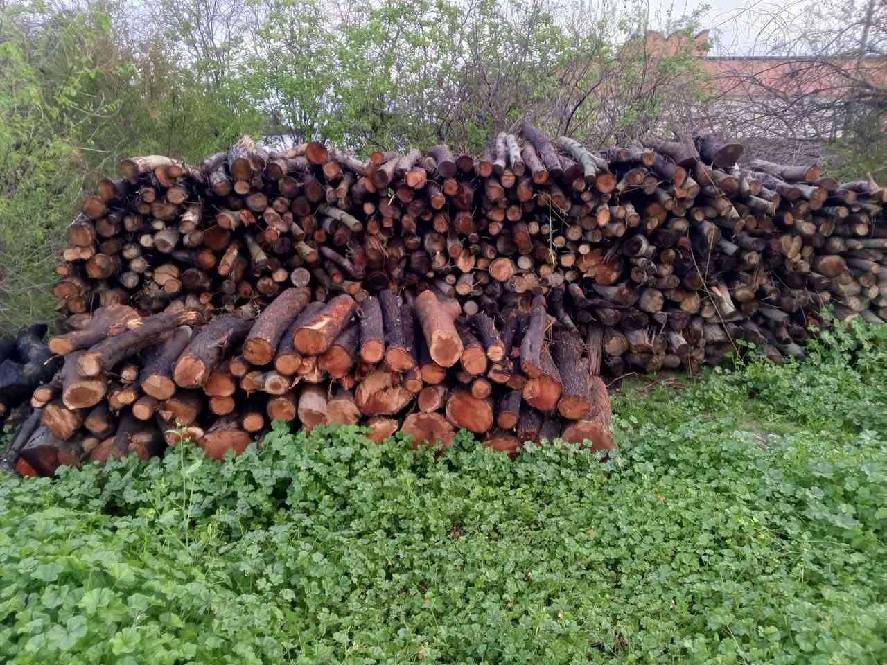 حطب للبيع
شراي يجي خاص


**إذا كنت صاحب هذا الإعلان وتريد حذفه لأي سبب، رجاءا أرسل رسالة إلى الدعم الفني**