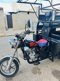 ستوته • شاخوان • 2022
