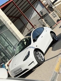 موديل ٢٣ • لونج رينج دبل • رقم بغداد