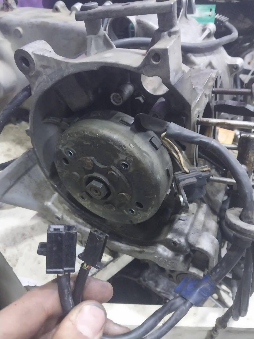 السلام عليكم
صالنصه سكنز جبلي ام الحساس سعرها ١٢٥
ملفات سكنز جبلي الاصلي مال تفصيخ سعره ٤٠ 
***********
