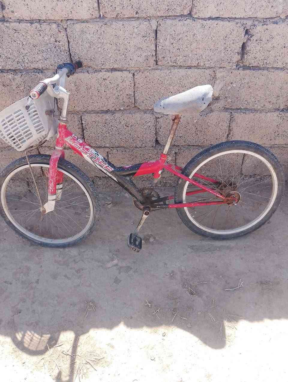 بايسكل للبيع عايزو ويل ورة واصطوبات والباقي كلشي مابي حجم 22 السعر 30وبي مجال شوية


**إذا كنت صاحب هذا الإعلان وتريد حذفه لأي سبب، رجاءا أرسل رسالة إلى الدعم الفني**