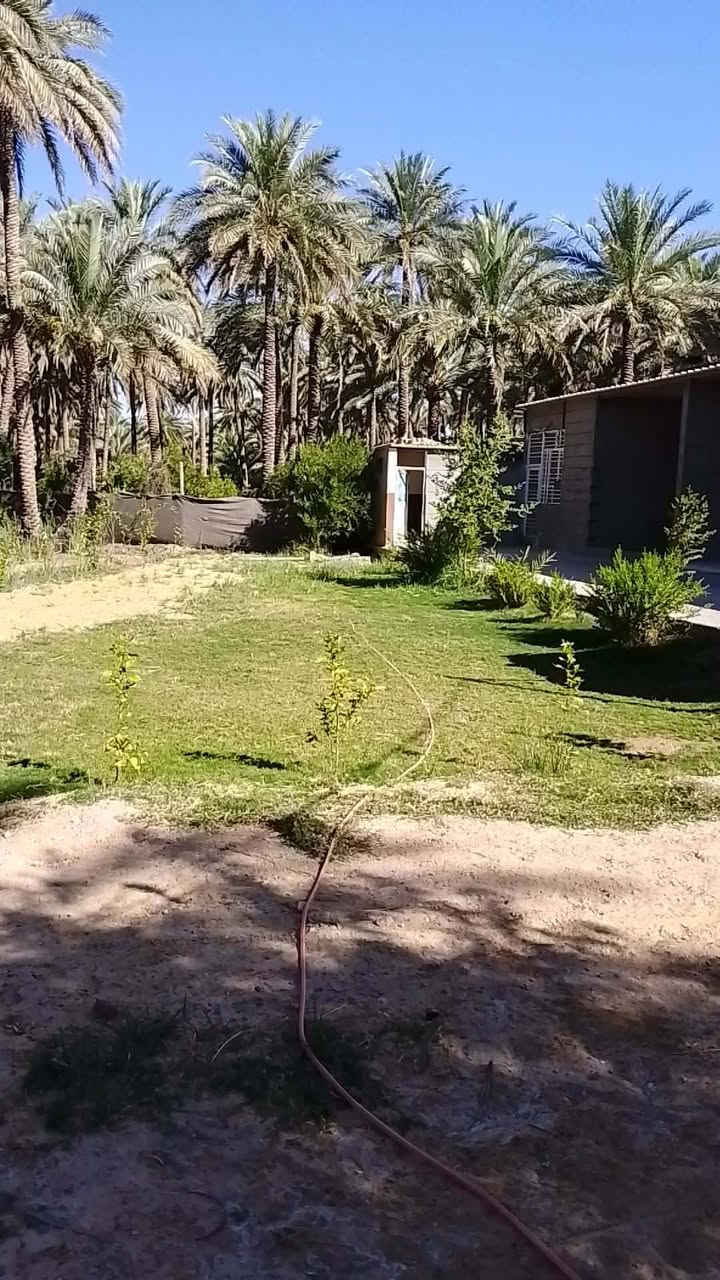 بستان مساحة دونم و800متر طابو زراعي تحويل اسهم  شارع بغداد عامود54جه الخروج قريب مطبخ العتبه تبعد عن شارع بغداد حوالي 700متر تحتوي ع دارين سندويج السعر 625مليون مع مجال بسيط خدمات متوفرة كافه مدخلين م̷ـــِْن شارع بغداد او شارع السيدة زينب الكنطرة البيضاء باقي التفاصيل ع الاتصال ***********
