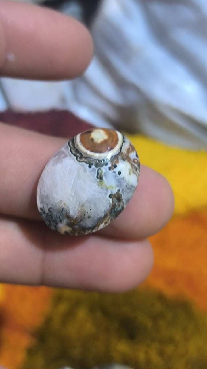 داودي يماني ملكي قطع تخبل اسعار مناسبة تعال خاص وبخدمتك


**إذا كنت صاحب هذا الإعلان وتريد حذفه لأي سبب، رجاءا أرسل رسالة إلى الدعم الفني**