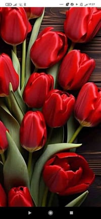 الجمعيات دوانم حجي حسن • ١٥٠م • ٣ غرف