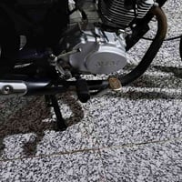 كزوز • ابو النجمه • نضيف