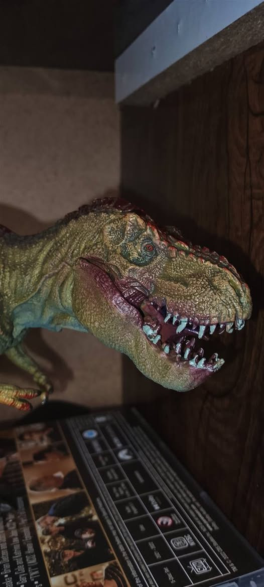 اسعارهن حلوة ✨
خاص او واتساب او علق ع الصورة التحب تعرف سعرها
واتسابي : ***********
