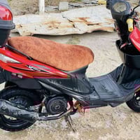 كايمه • شغاله • ما بيها نقص