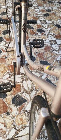 ليبس ٢٠٢٠ • نضافة • الماجدية سيد جميل