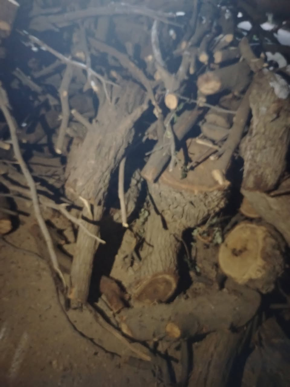 حطب للبيع يطلع 3 كيات


**إذا كنت صاحب هذا الإعلان وتريد حذفه لأي سبب، رجاءا أرسل رسالة إلى الدعم الفني**