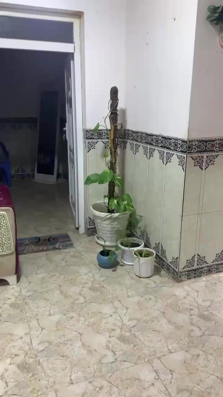 طقم قنفات للبيع ألسعر 200 ألف 
المكان تكريت


**إذا كنت صاحب هذا الإعلان وتريد حذفه لأي سبب، رجاءا أرسل رسالة إلى الدعم الفني**