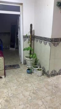 طقم قنفات • تكريت