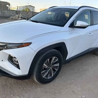 توسان هايبرد • ٢٠٢٣ • حادث صبغ