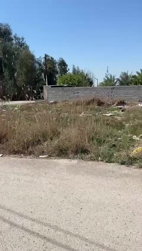 قطعه للبيع سكنيه المساحه 500متر ركن العنوان بغداد الراشديه مقابيل مستشفى حماد شهاب
***********
***********
