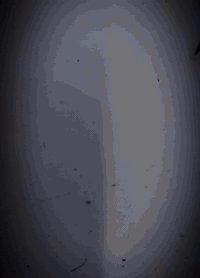 دراجه جانبو للبيع دراجه كفاله عامه من الزلغ مكينه بيهه خيط بخار قليل شرط شلعه ومعدل فول دراجه ما تذب عليهه ربع كلجات جدد قايش جديد لايتات زنون اصلي عالي ناصي أشاير شغاله بك لايت تايرات جدد السعر 300 وبيهه مجال المكان بابل قضاء القاسم ‏‪***********‬‏ رقمي
