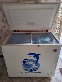 مجمدة • مستعملة • نضافة فول