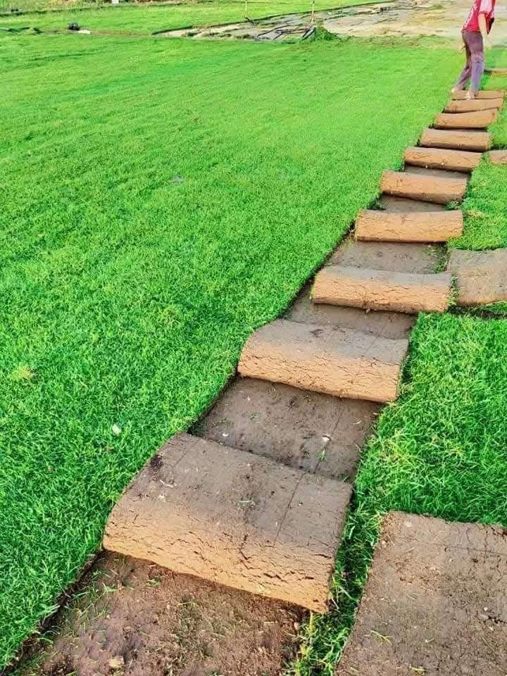 ثيل لبيع درجة اولى ثيل ديالى الاتصال ***********
