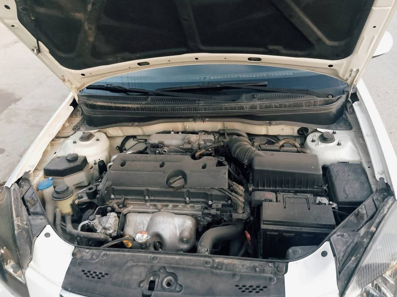 كيا ريو موديل 2012
رقم اربيل دولي شرط التحويل بأسمي
كابون بانزين بيها 
سنويه جديدة هزه وفحص جديد
داخل برايد
محرك 16شرط
وكير شرط 
صبغ بين بابين السكن مأشر بالصورة ومكانات بارد بيها كد كرت
السعر 95 بي مجال
التواصل مع الرقم
***********
