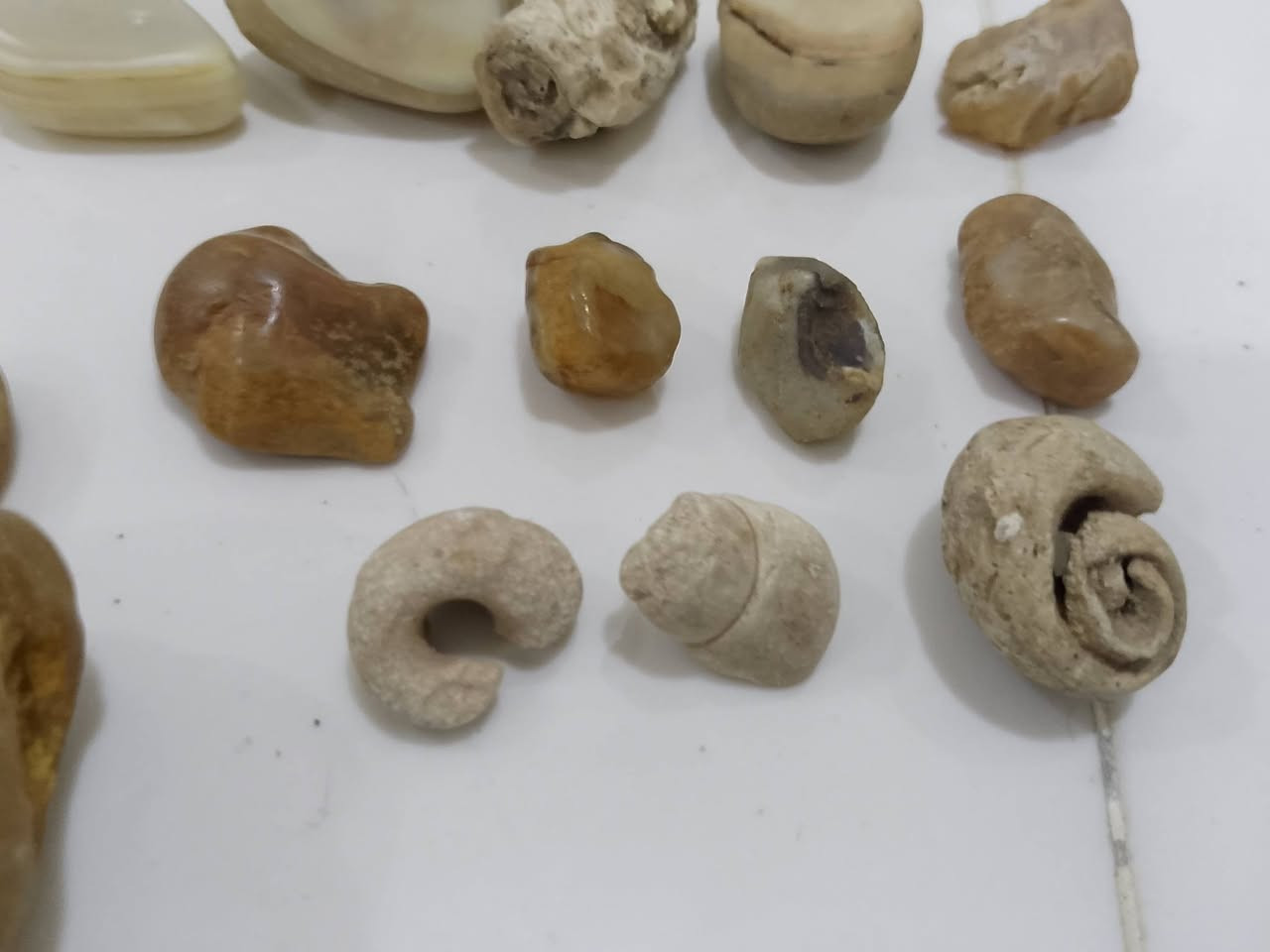 لمن يهمه الامر عندي كميه حجر عدد 160حجر


**إذا كنت صاحب هذا الإعلان وتريد حذفه لأي سبب، رجاءا أرسل رسالة إلى الدعم الفني**