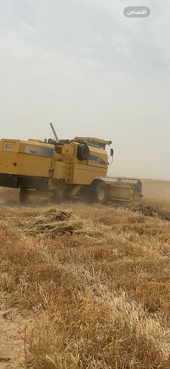 حاصوده للبيع موديل 2006 أربعه بلم قايش رقم سنويه تحويل التفاصيل مكان كركوك ***********  ***********
