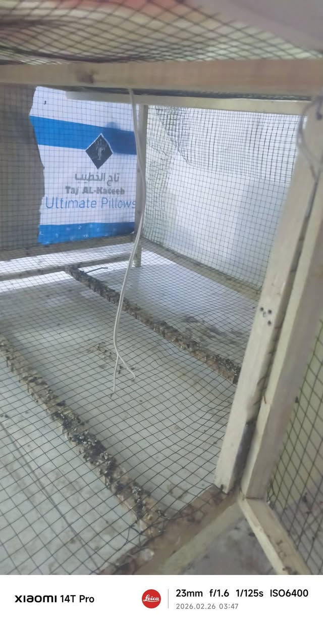 خانه متر مربع ام الجراره شغل ايدي مو نجار
داير مداير مشبج ومغلف بنايلون
سعرها 40 الف 
مكاني نجف شارع المطار الجديد
***********
