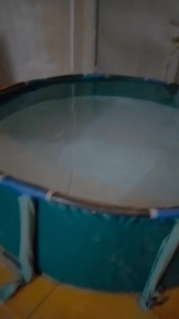 مسبح نظيف بدون عيب للييع عمق متر وعرض مترين سعر 35 الف قفل عنوان زانكو


**إذا كنت صاحب هذا الإعلان وتريد حذفه لأي سبب، رجاءا أرسل رسالة إلى الدعم الفني**