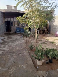 الدار للبيع المساحه 250م المكان الحميدية قرب السوق الثاني واجهة البيت ...