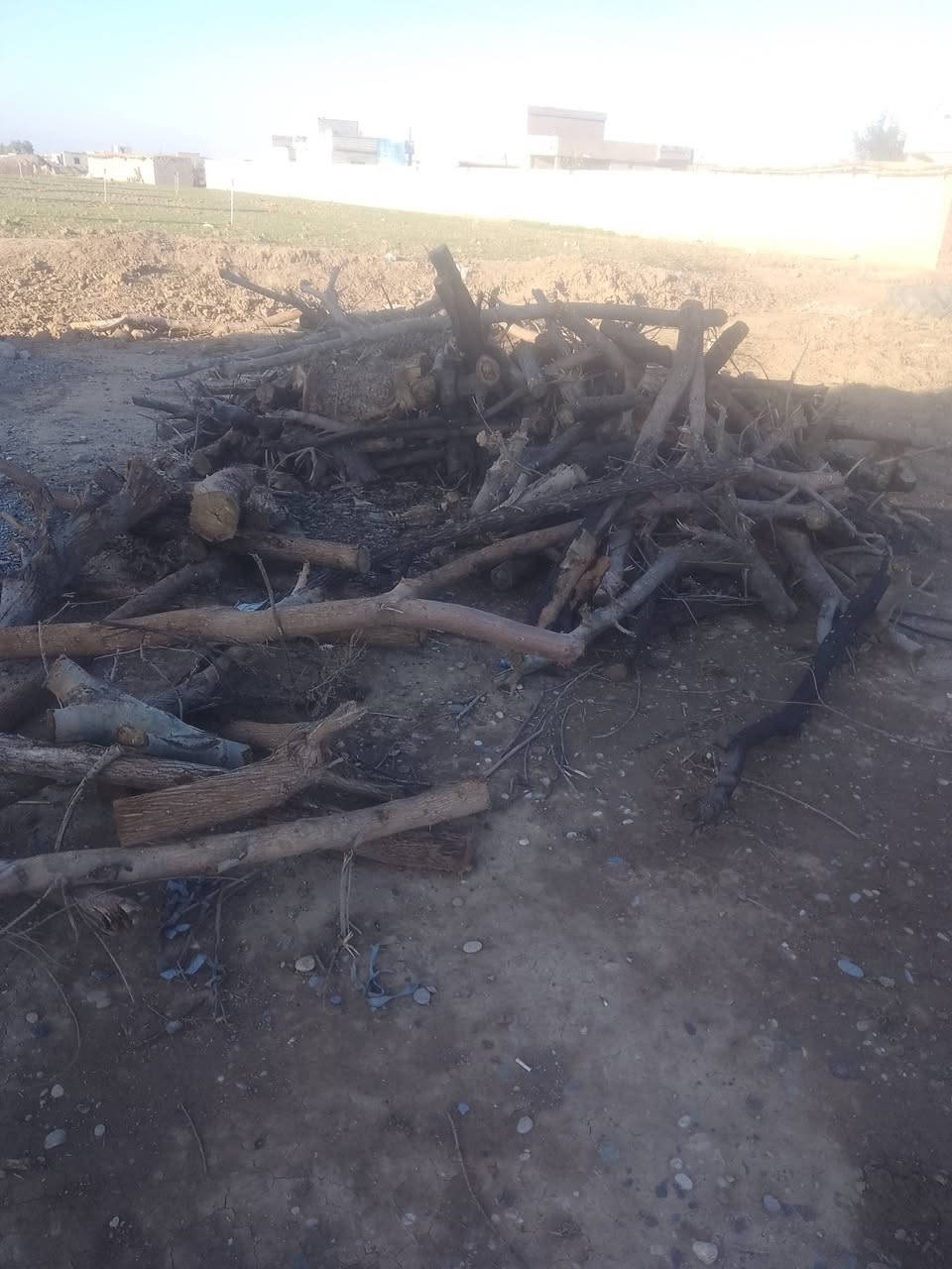 سلام عليكم  خشب لبيع  ***********
