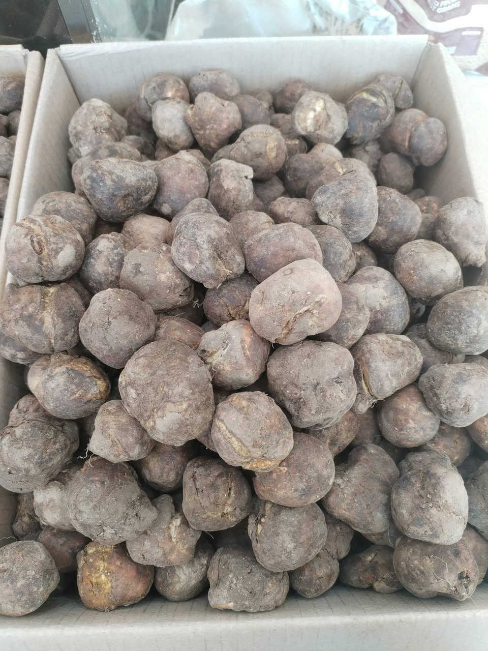 توفر من جديد وجبه ثانيه جمه الموصل عراقي مو ايراني
متوفر ناعم
ووسط
وخشن

للطلب و الاستفسار مراسلة الصفحة 📨   

🔸 او الاتصال بنا على 📞 (***********)   واتساب

🔸 او زيارتنا في موقعنا 📍👇🏼  
الانبار_عنه_المول_الجديد 

🔸 يتوفر توصيل داخل. عنه اجور توصيل 1000
تتوفر خدمه توصيل. راوة 
تتوفر خدمه توصيل. القائم. _العبيدي
تتوفر. توصيل. جميع. المحافظات العراق. 

#كرزات_وحلويات_النوري
