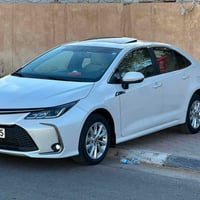 كورلا GLI • ٢٠٢٤ • رقم اربيل