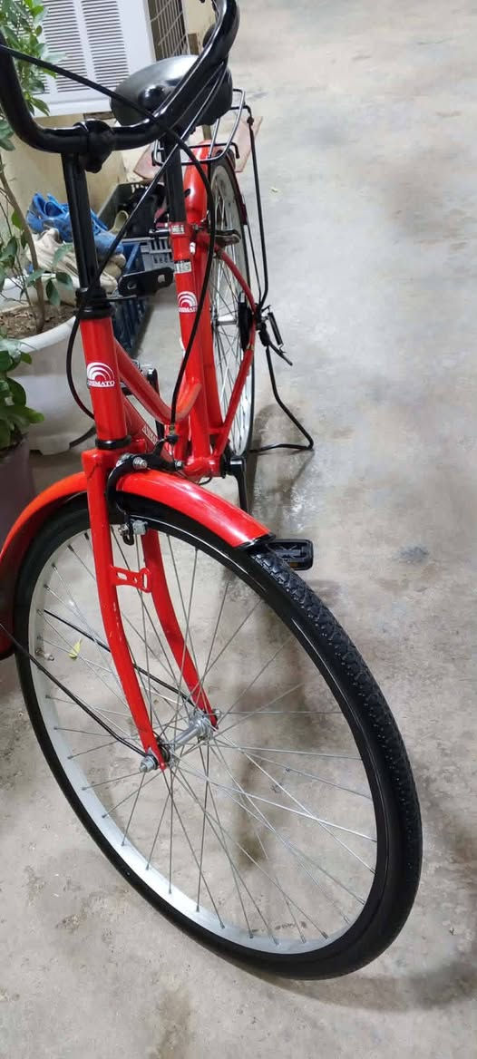 السلام عليكم بايسكل البيع تخم تاير جديد شوفت عينك الاتصال هاذة الرقم ***********٠او  خاص
