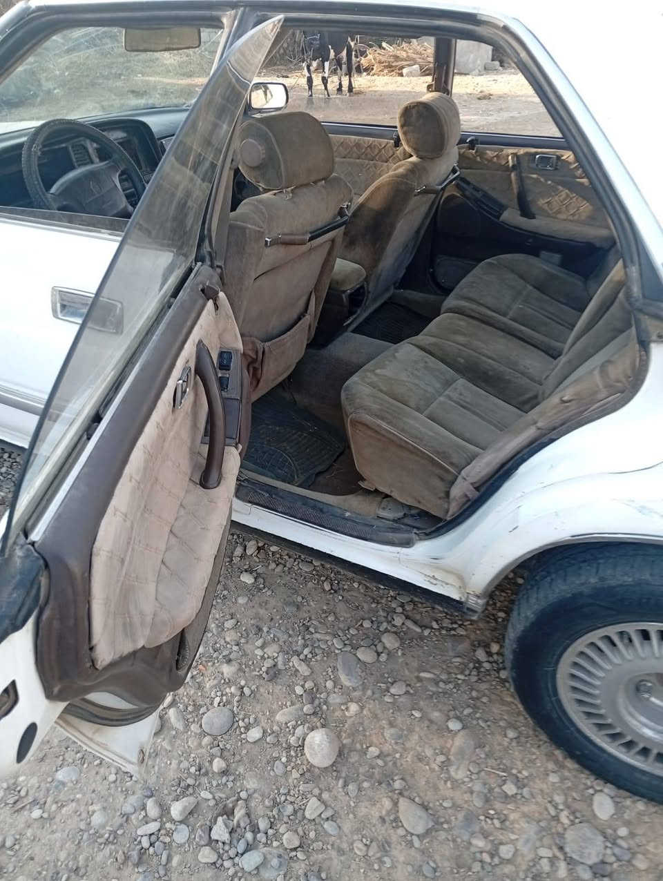 هارتوب مسجله فحص صلاح الدين شرط الوكاله والتحويل
كير ومحرك زينات حيل
صدر زين تواير نضيفات
يعوزه ترتيبات مثل ماوضح بلصور السعر 23 وبيه مجال ويرهم مراوس بطه مو مسجل والفرق حسب الاتفاق
***********
