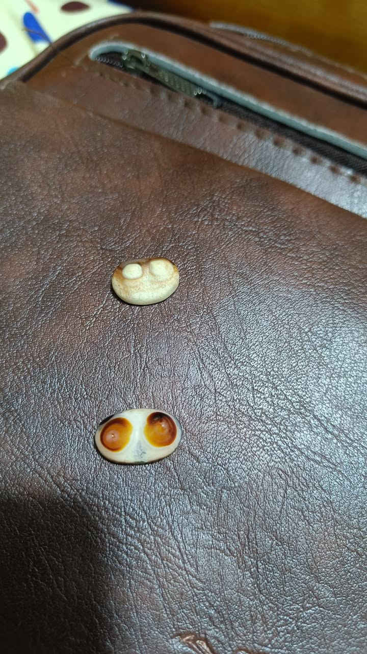 قطعتين مميزات لون وقمم مثل ما واضحات بالصوره للبيع


**إذا كنت صاحب هذا الإعلان وتريد حذفه لأي سبب، رجاءا أرسل رسالة إلى الدعم الفني**