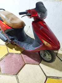 فراشه فحل • ديوانيه مركز