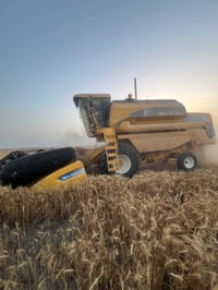 نيو هولند • حاصده • ٢٠٠٧