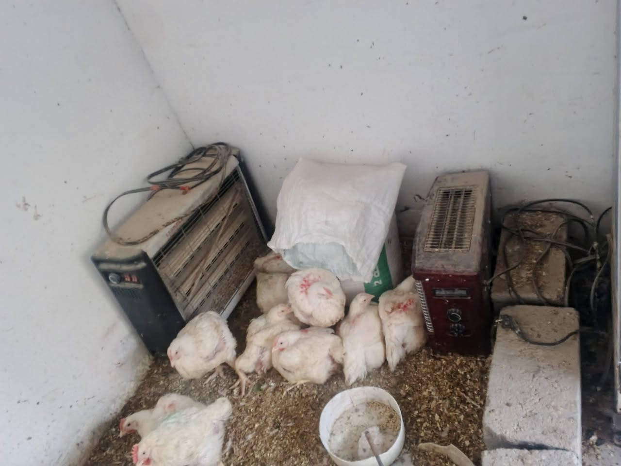 السلام عليكم ذني للبيع قيم بما يرضي الله وللعلم كلشي عندي شغال وابيعهن شلع  ويرهم مراوس بدراجة شعندك نزل


**إذا كنت صاحب هذا الإعلان وتريد حذفه لأي سبب، رجاءا أرسل رسالة إلى الدعم الفني**