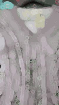 حجز وات ساب ‏‪***********‬‏سعر ٧ الاف
