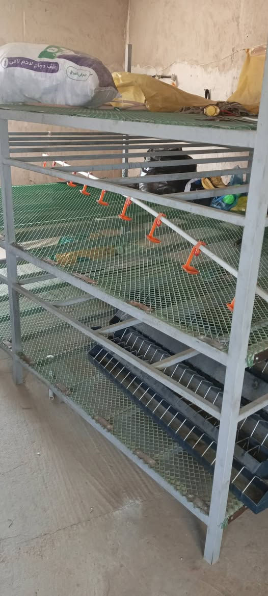 السلام عليكم قفص لتربيه الدواجن ثلاث طوابق 
الطول 3امتار العرض 2متر حديد مرتب مثل ما موضح بالصوره السعر اتصل على رقم ***********
او المراسله خاص
