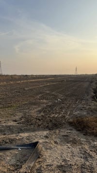 طريق نصر دوايه • ٧ دونم • الوجه ٧٠