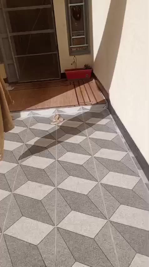 سلام عليكم بيت للبيع زراعي قريب جامعه ذي قار الباب الخلفي مساحه ٢٠٠بناء طابوك مسجل بلبلديه معامله اوصل غرفتين وصاله ومطبخ صحيات داخليه واستقبال وصحيات خارجيه كافه الخدمات قرب الشارع العام تبليط 
وت ساب ***********
